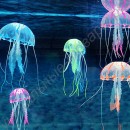 Декоративные медузы в аквариум